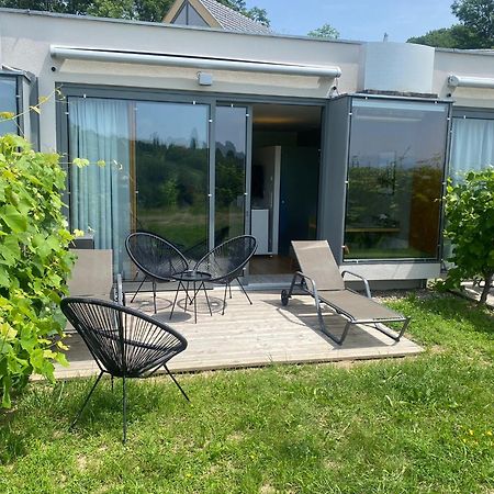 *Brandnew* Modernes Apartment In Den Weinbergen Mit Pool Und Sauna Spielfeld Eksteriør billede